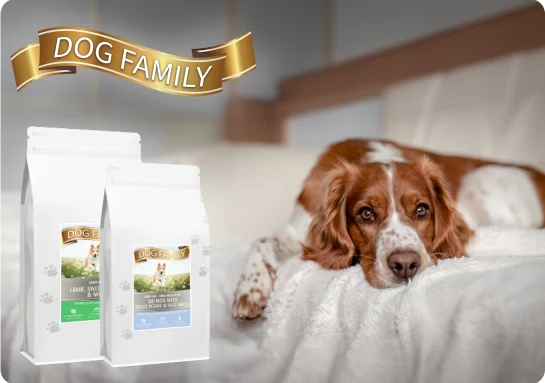 Karma Dog Family to propozycja dla psów z alergiami i problemami trawiennymi