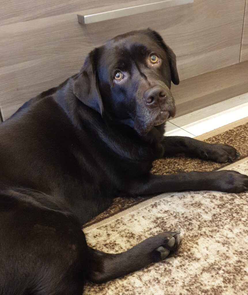 Image #1 from Małgorzata Laska